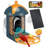 MiniKey DomeDuo Bird Feeder Camera