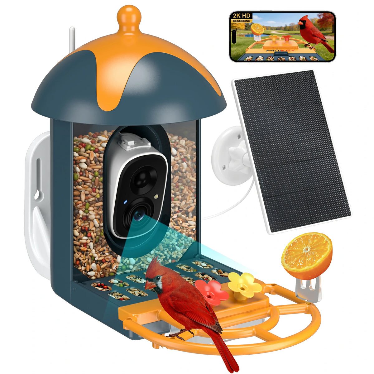 MiniKey DomeDuo Bird Feeder Camera