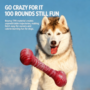 Fan-Shaped Bone Dog Chew Toy