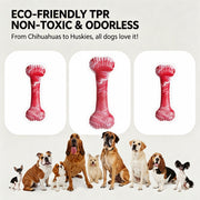 Fan-Shaped Bone Dog Chew Toy