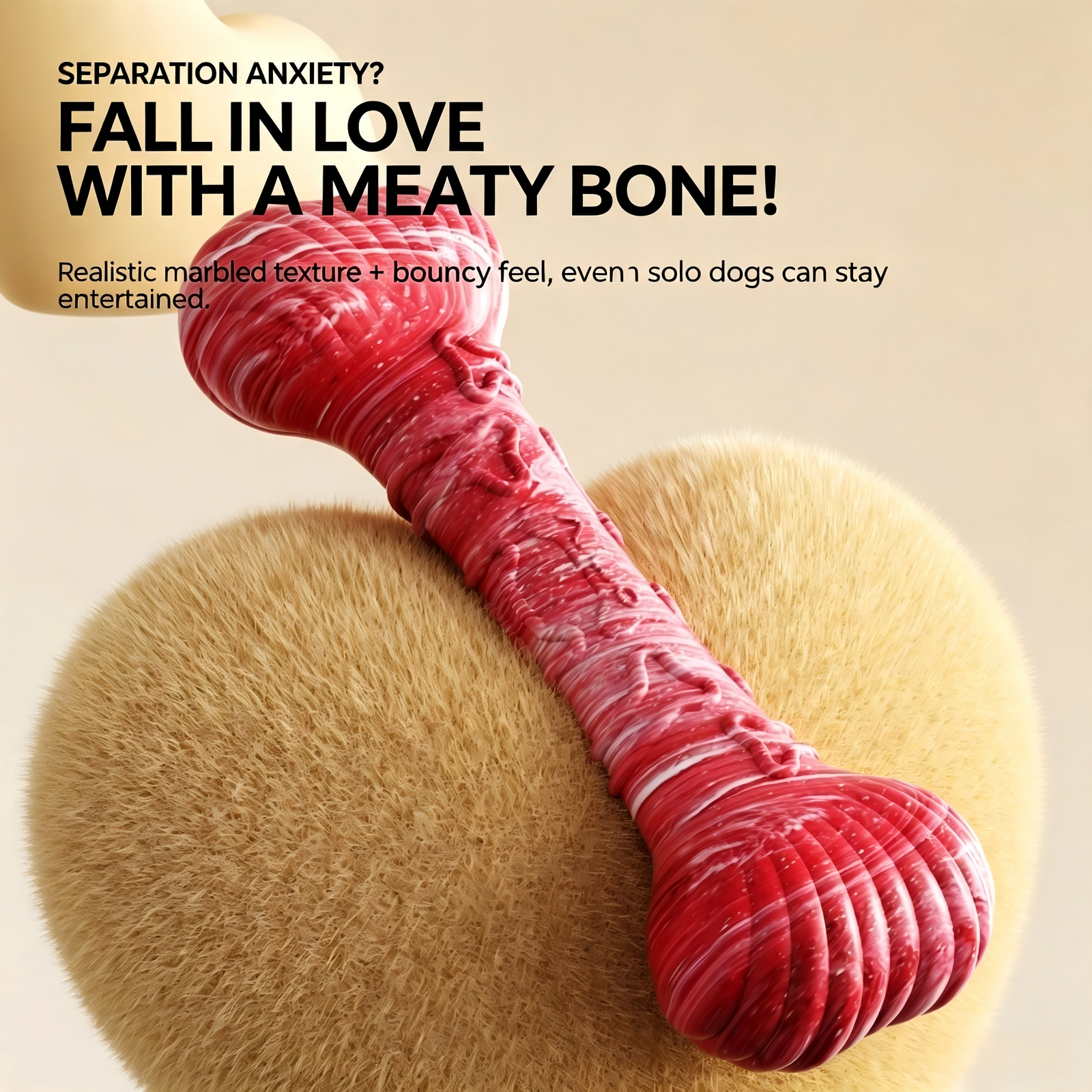Fan-Shaped Bone Dog Chew Toy