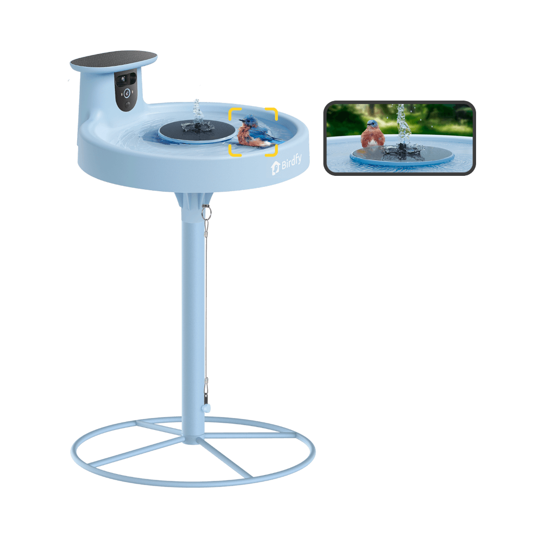 Birdfy Bath Pro - Smart Bird Bath with Camera