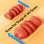 Fish Bone Squeaky Dog Chew Toy