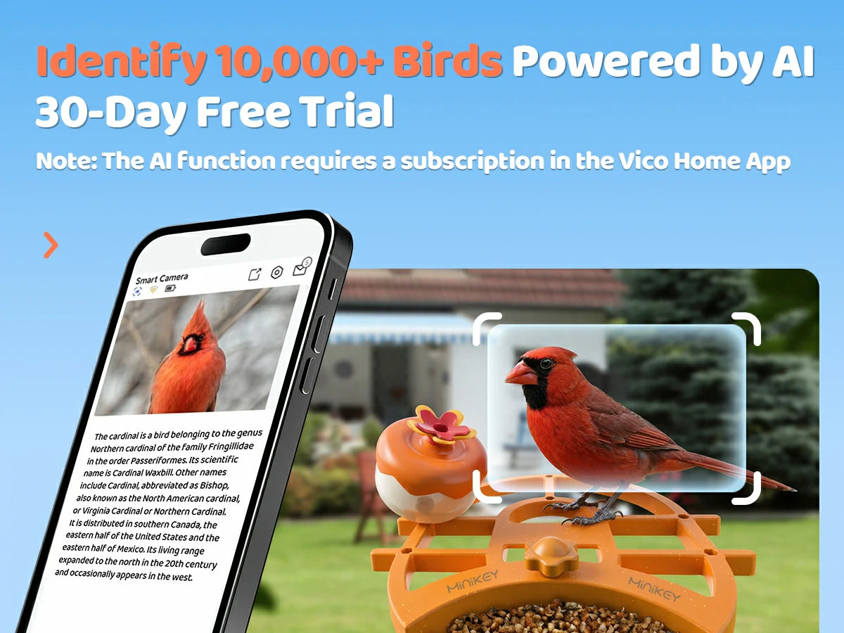 AI Recognition of 6000+ Bird Species