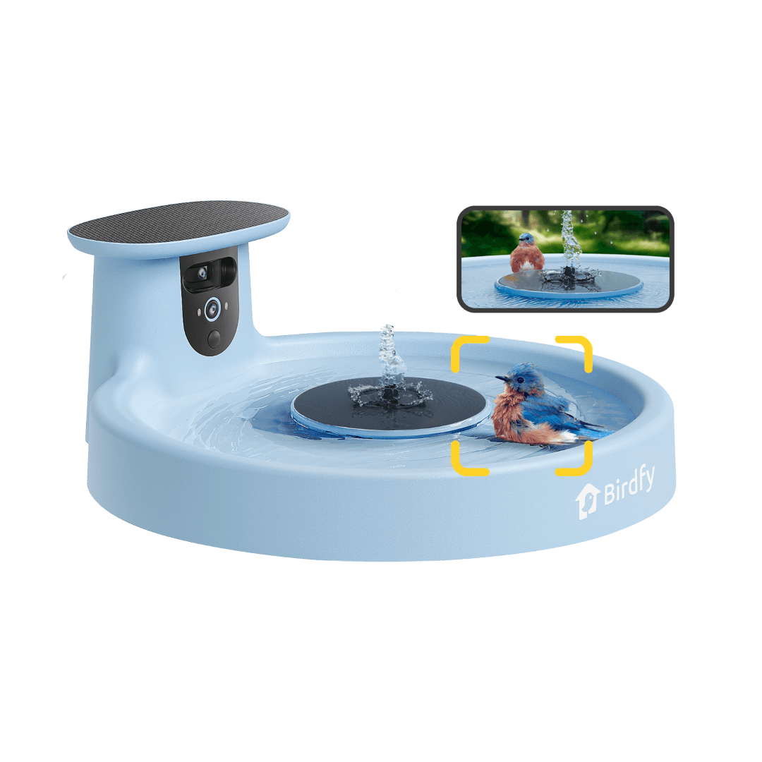 Birdfy Bath Pro - Smart Bird Bath with Camera