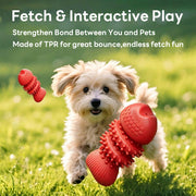Fish Bone Squeaky Dog Chew Toy