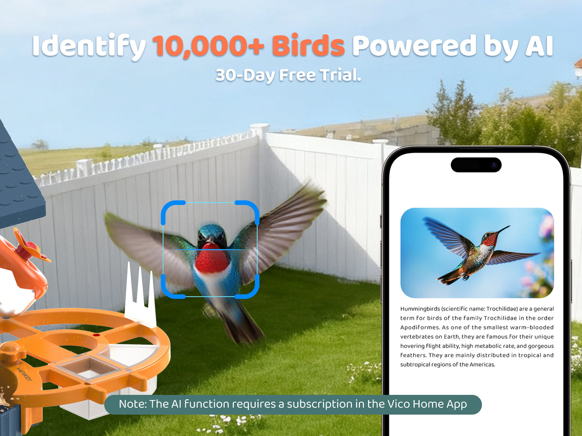 AI Recognition of 6000+ Bird Species