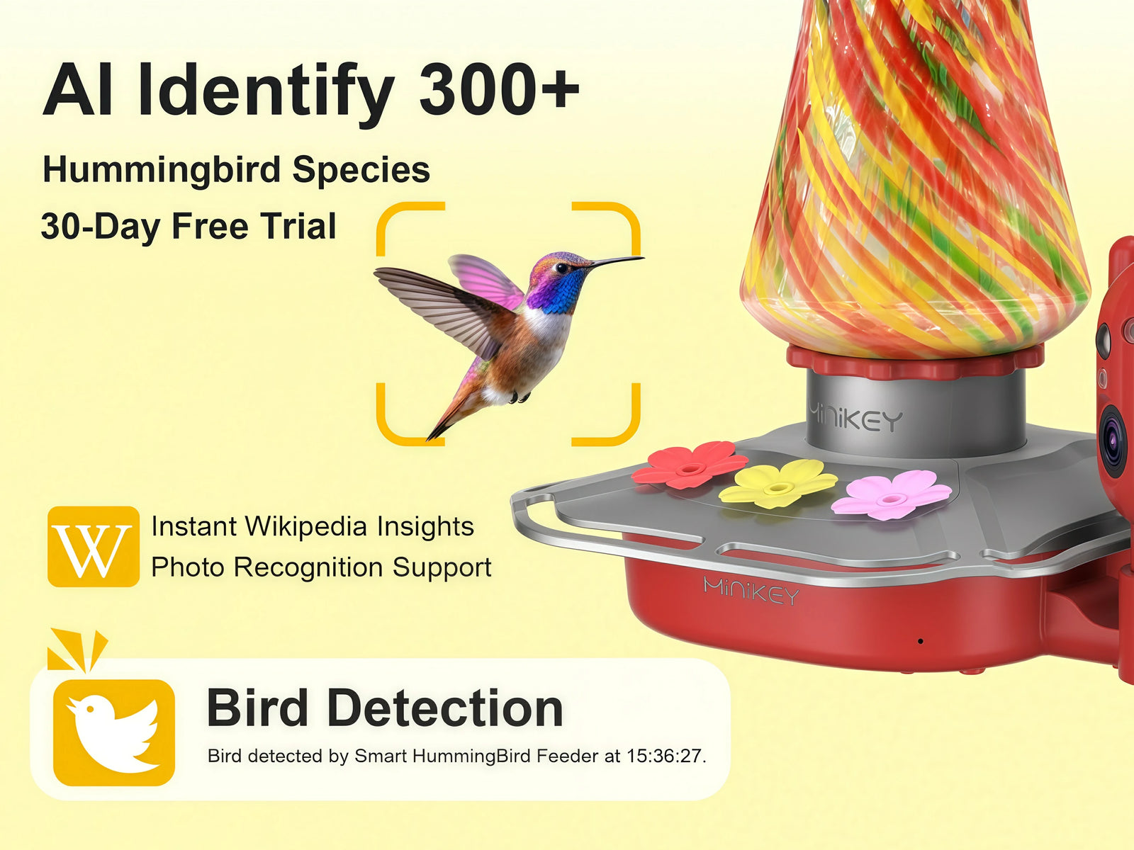 AI Recognition of 300+ HummingBird Species