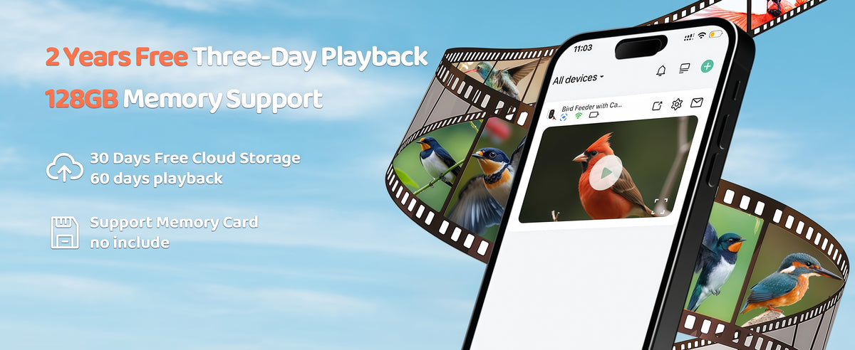 Unlimited Free Cloud Storage