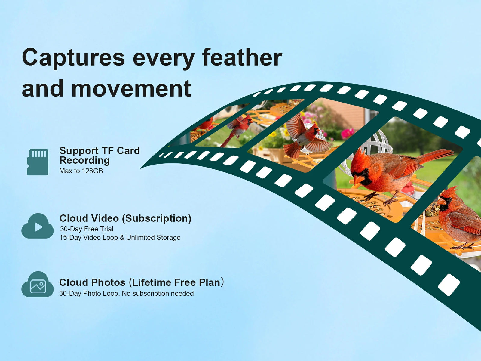 Unlimited Free Cloud Storage