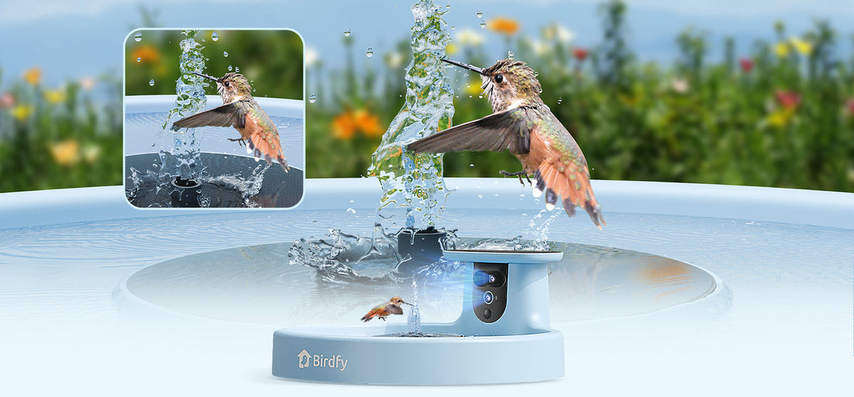 Dual-Lens Camera, Auto-Trace & Smart Capture