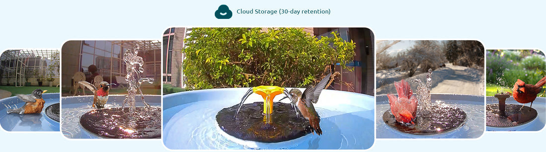 Unlimited Free Cloud Storage