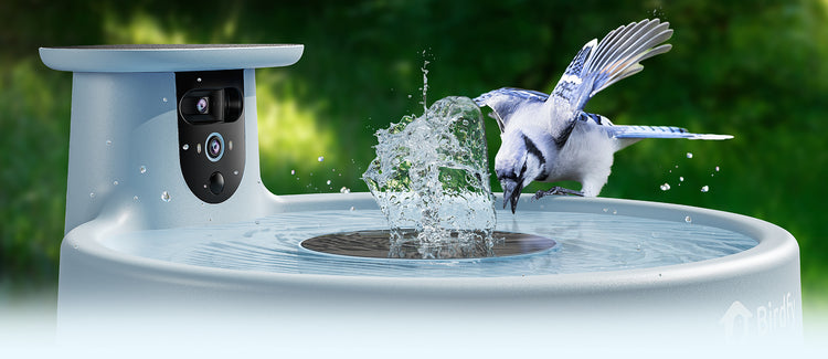 IP66 Waterproof Camera
