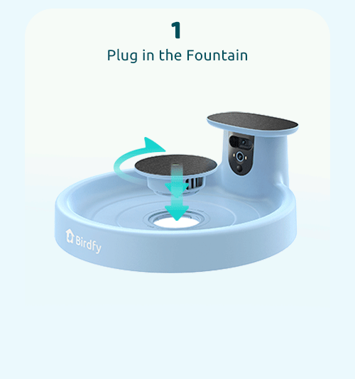 HOW TO UPSET