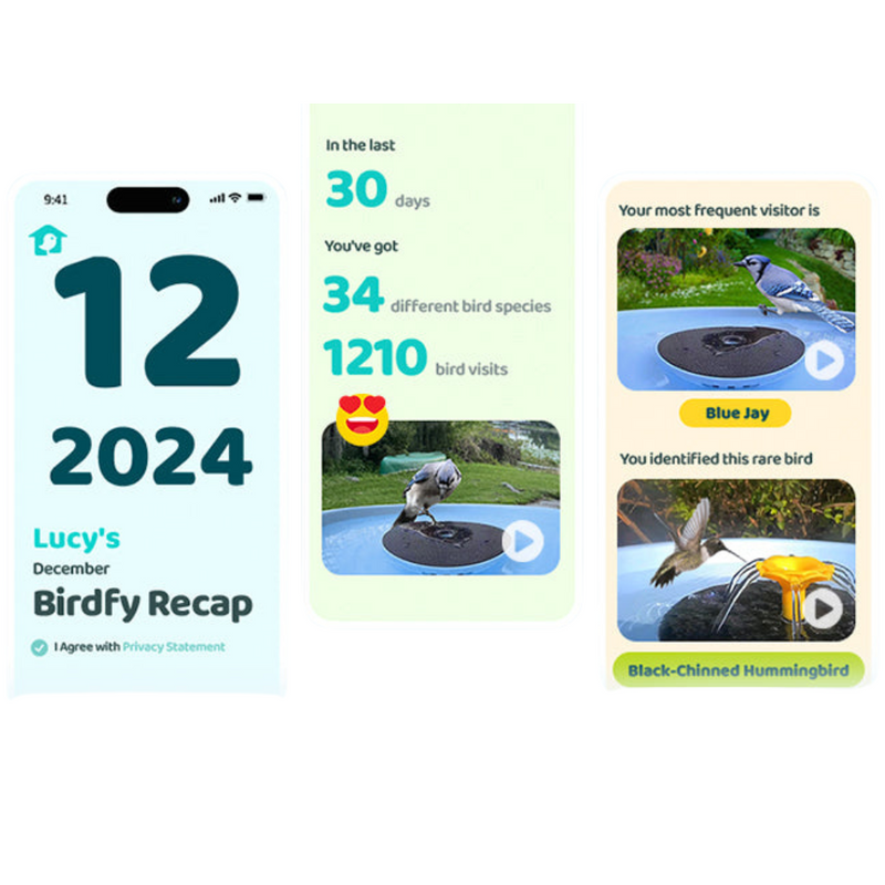 Birdfy Recap