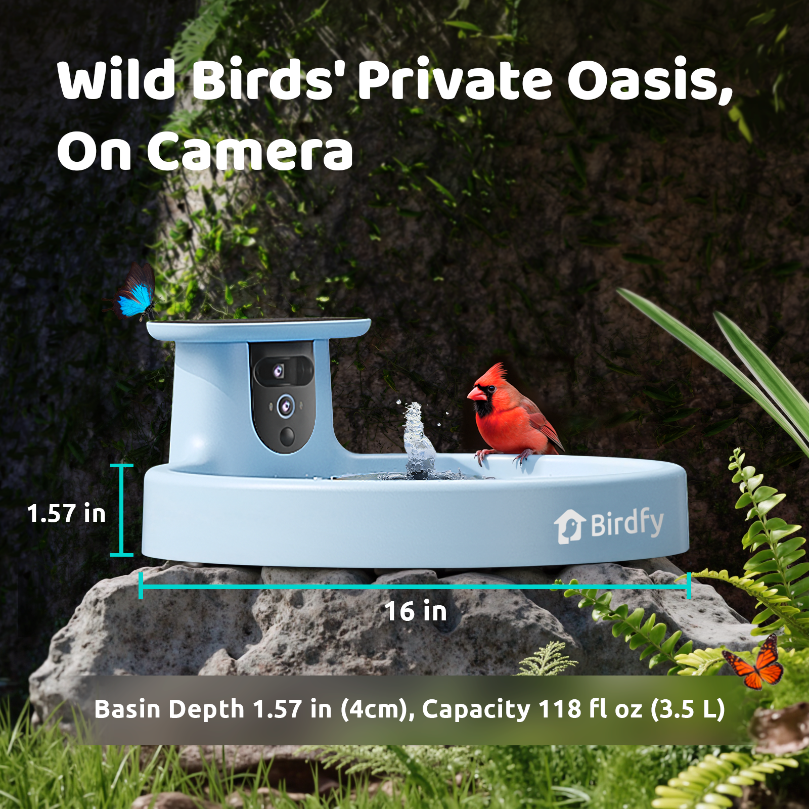 Birdfy Bath Pro - Smart Bird Bath with Camera