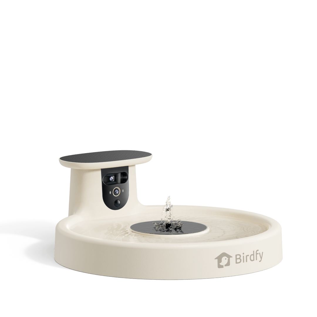 Birdfy Bath Pro - Smart Bird Bath with Camera