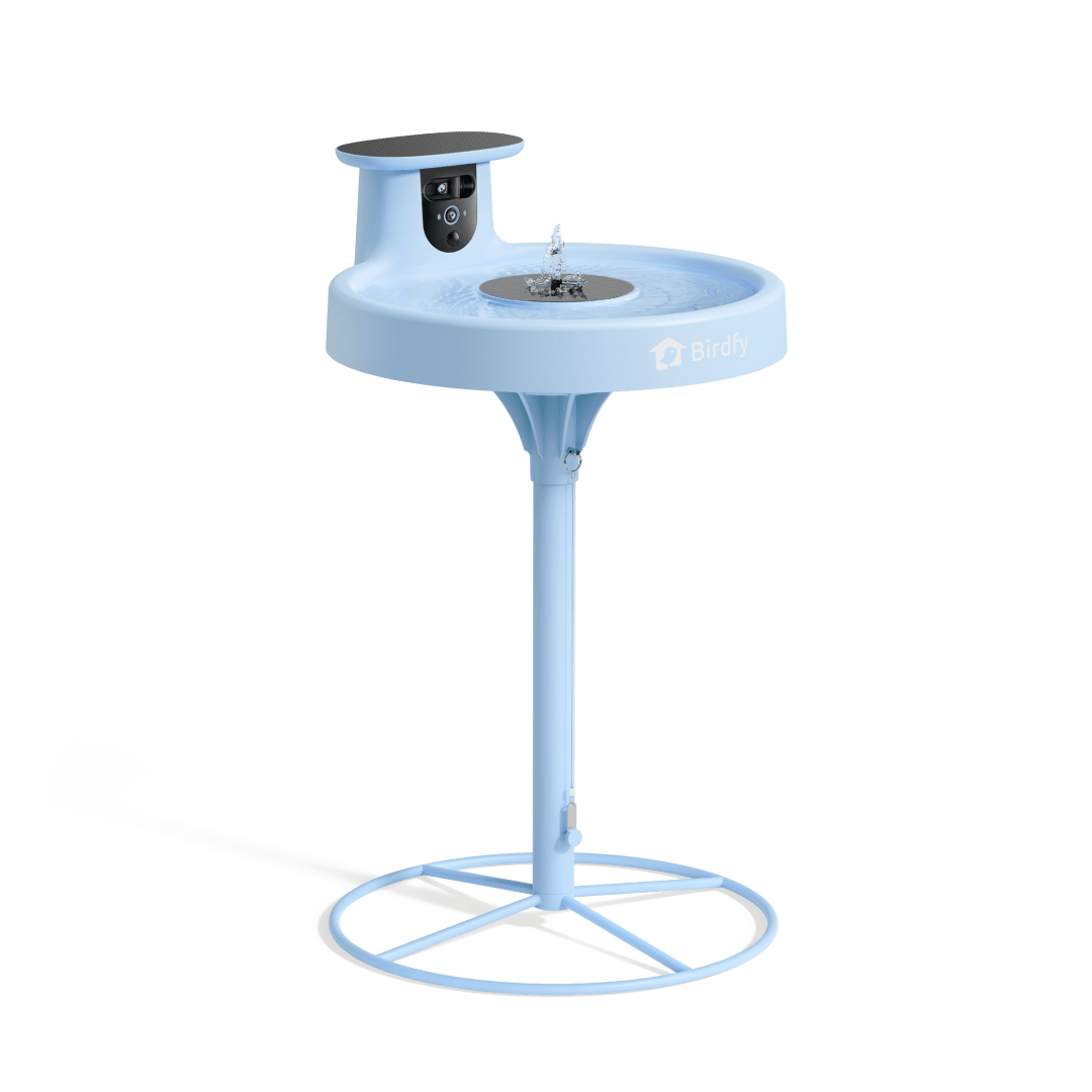 Birdfy Bath Pro - Smart Bird Bath with Camera