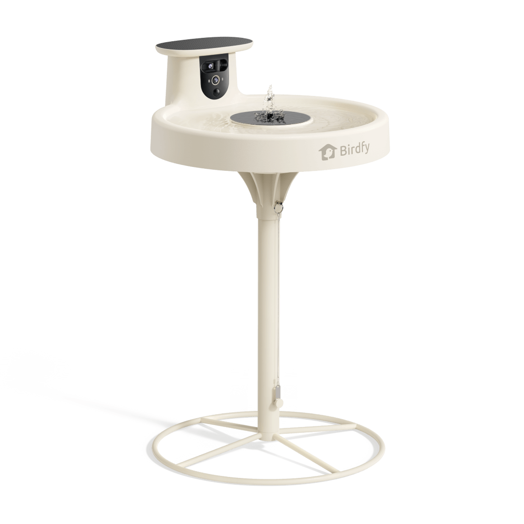 Birdfy Bath Pro - Smart Bird Bath with Camera