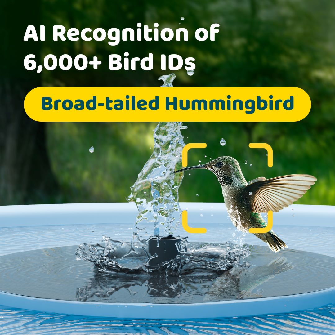 Birdfy Bath Pro - Smart Bird Bath with Camera