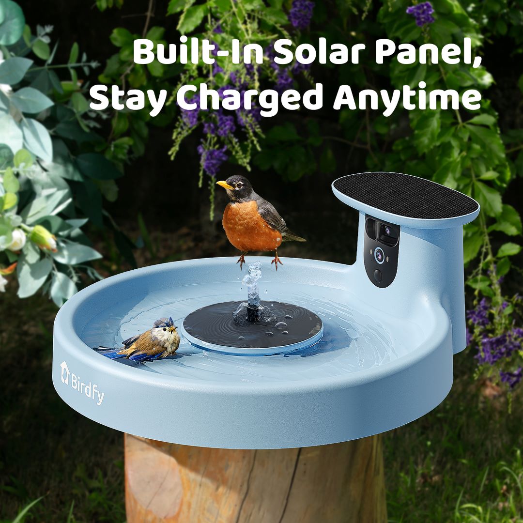 Birdfy Bath Pro - Smart Bird Bath with Camera