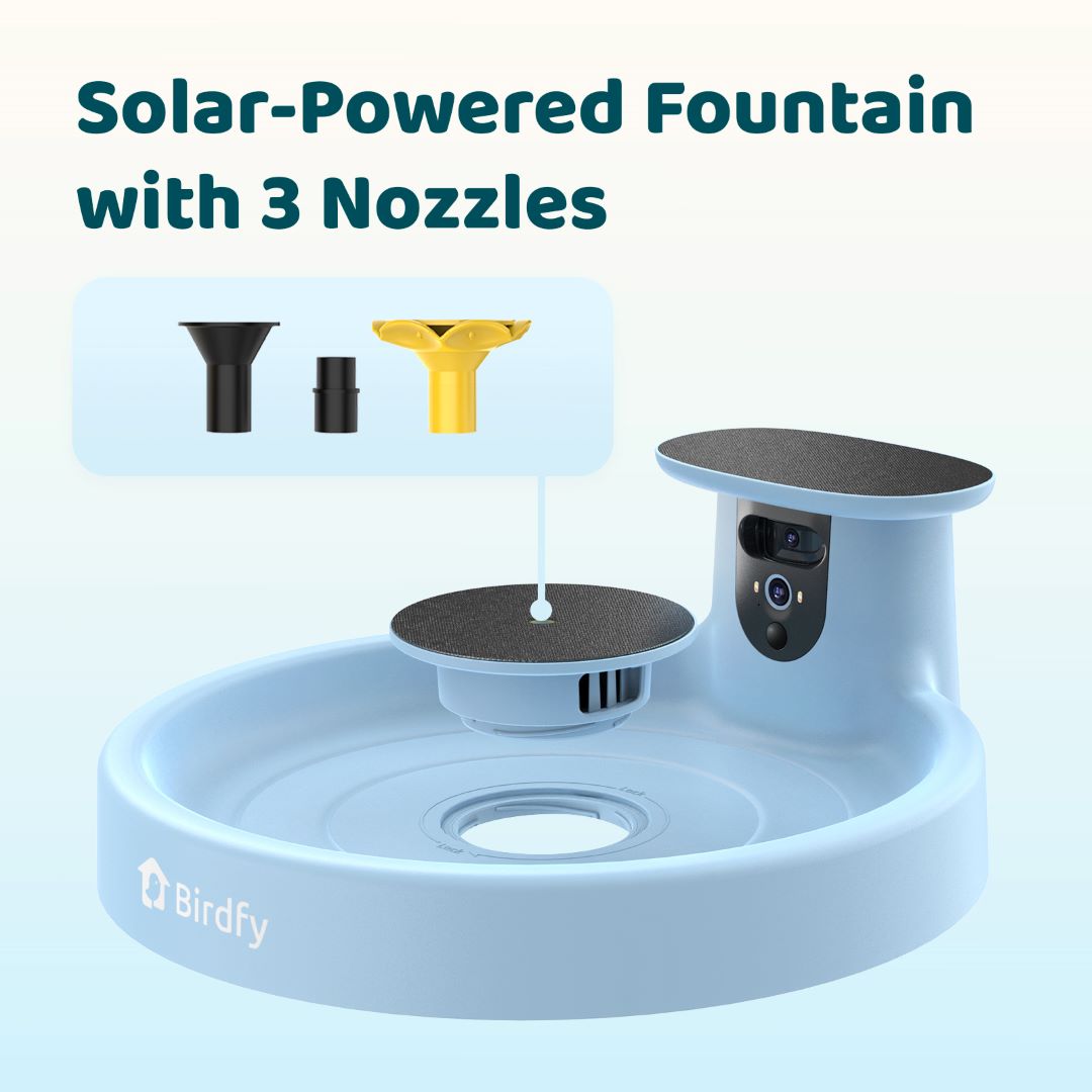 Birdfy Bath Pro - Smart Bird Bath with Camera