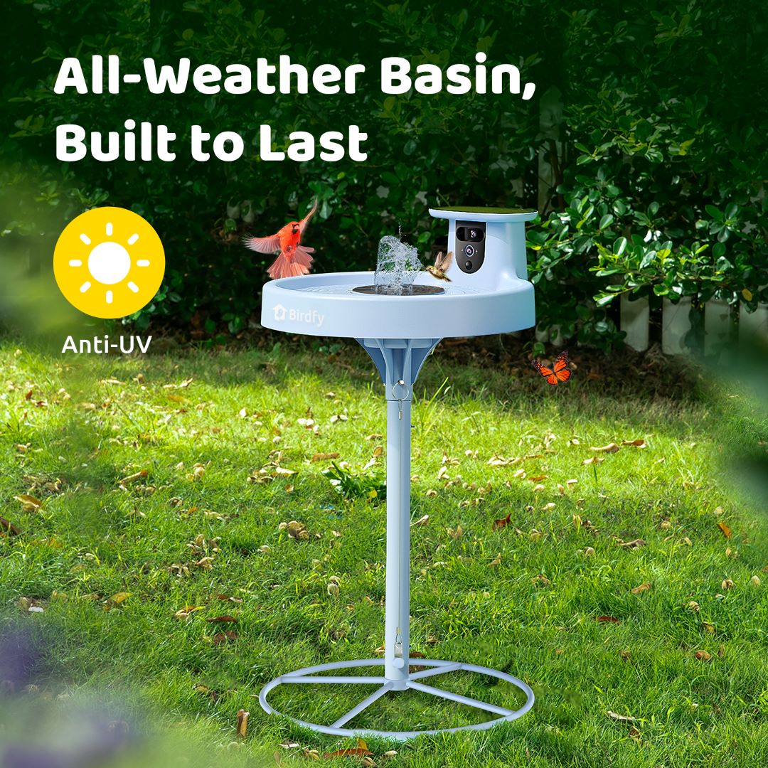 Birdfy Bath Pro - Smart Bird Bath with Camera