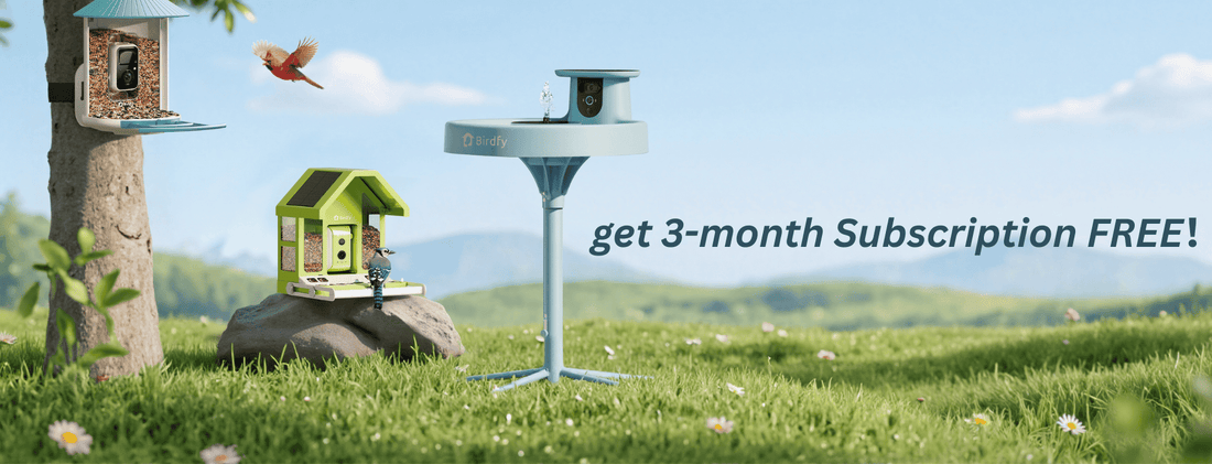 Get-3-month-subscription-free – minikeyshop