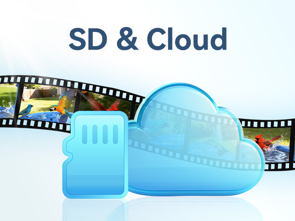 Unlimited Free Cloud Storage