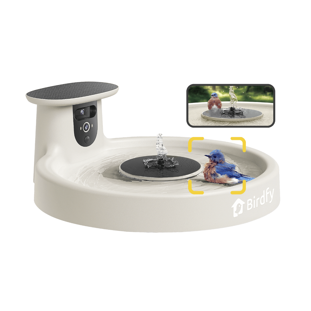 Birdfy Bath Pro - Smart Bird Bath with Camera
